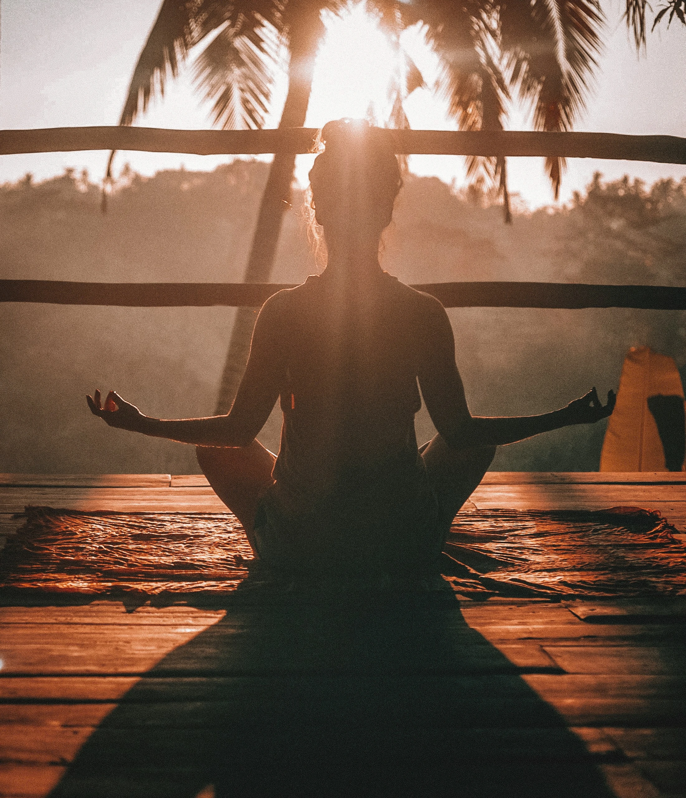 Holistic Wellness